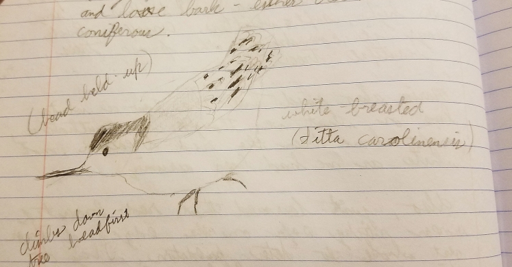 #bioPGH: Nature Journaling #bioPGH: Nature Journaling