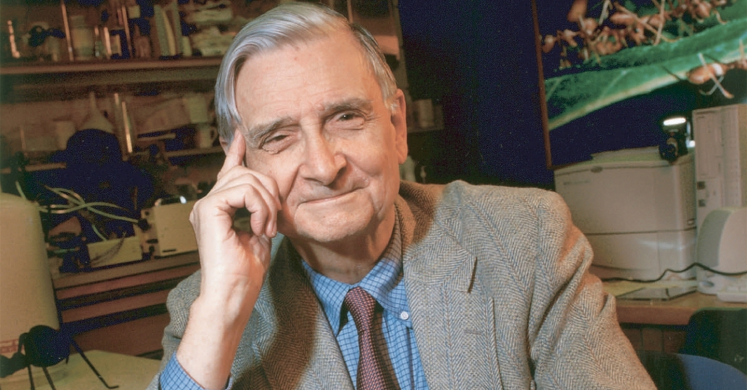 #bioPGH Blog: In Memory of E.O. Wilson, 1929 – 2021