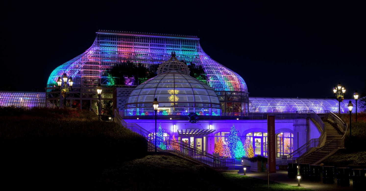 The Night Before Winter Show A Phipps Story Phipps Conservatory