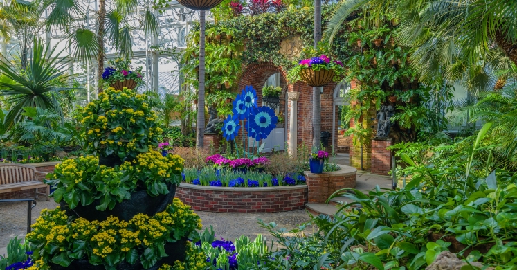 This Week at Phipps: March 25 – 31 This Week at Phipps: March 25 – 31