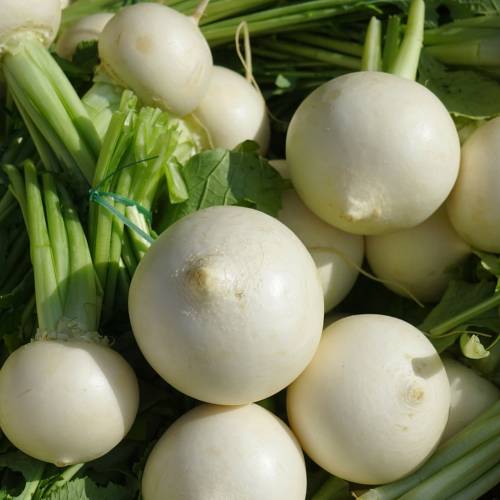 What We’re Cooking With Now: Turnips