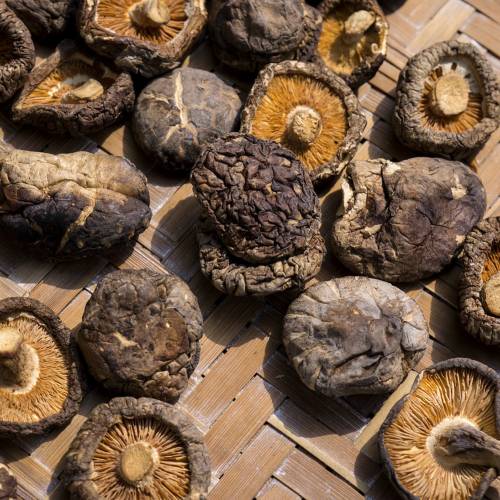 What We’re Cooking With Now: Shiitake Mushrooms