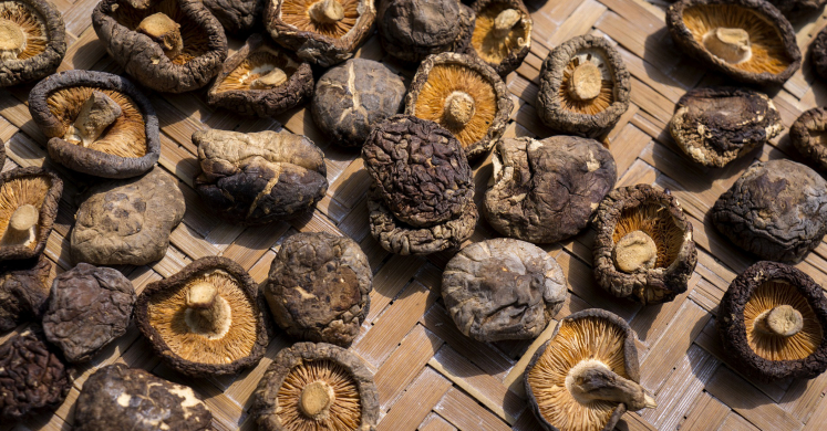 What We’re Cooking With Now: Shiitake Mushrooms