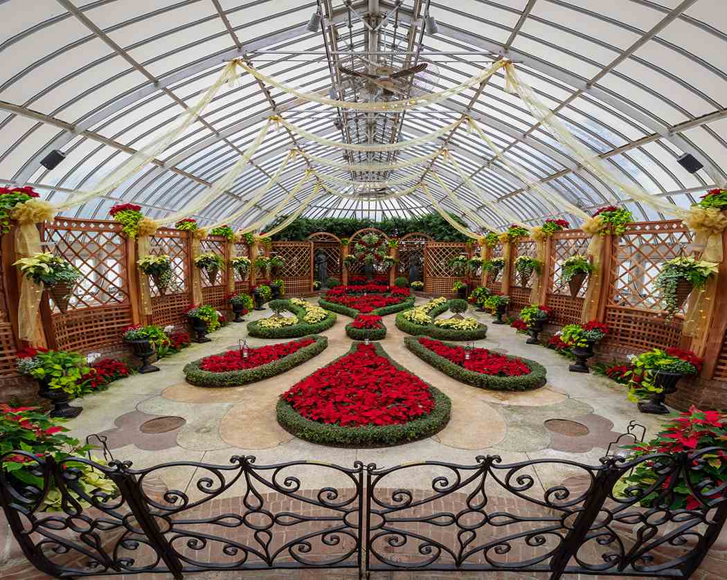 Winter Flower Show and Light Garden 2018: Holiday Magic! Let It Glow