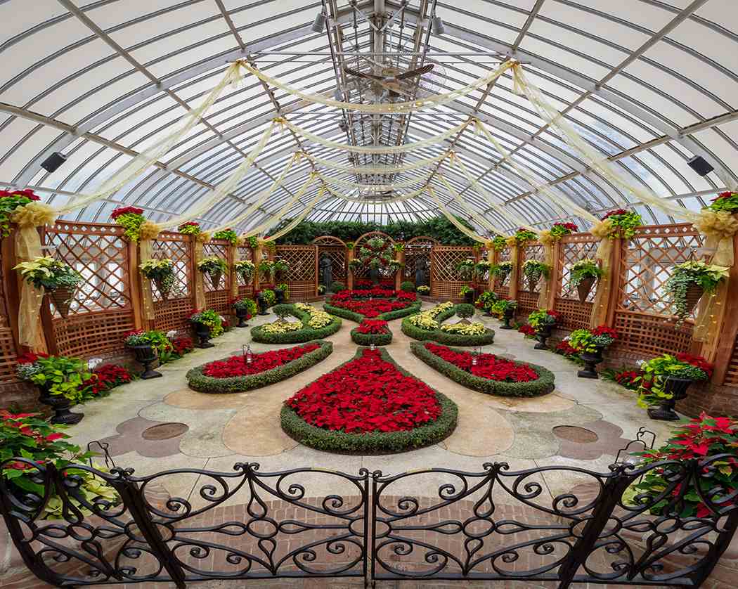 Winter Flower Show and Light Garden 2018: Holiday Magic! Let It Glow