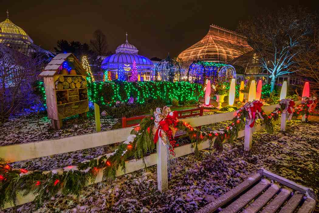 Winter Flower Show and Light Garden 2018: Holiday Magic! Let It Glow