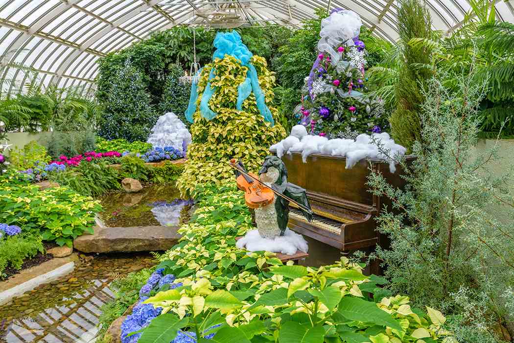 Winter Flower Show and Light Garden 2018: Holiday Magic! Let It Glow