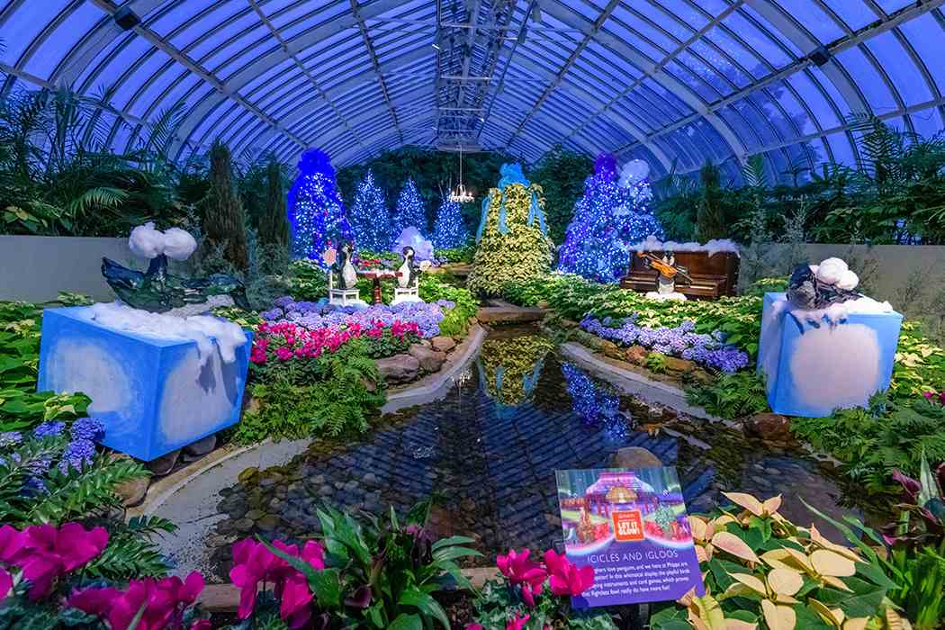 Winter Flower Show and Light Garden 2018: Holiday Magic! Let It Glow