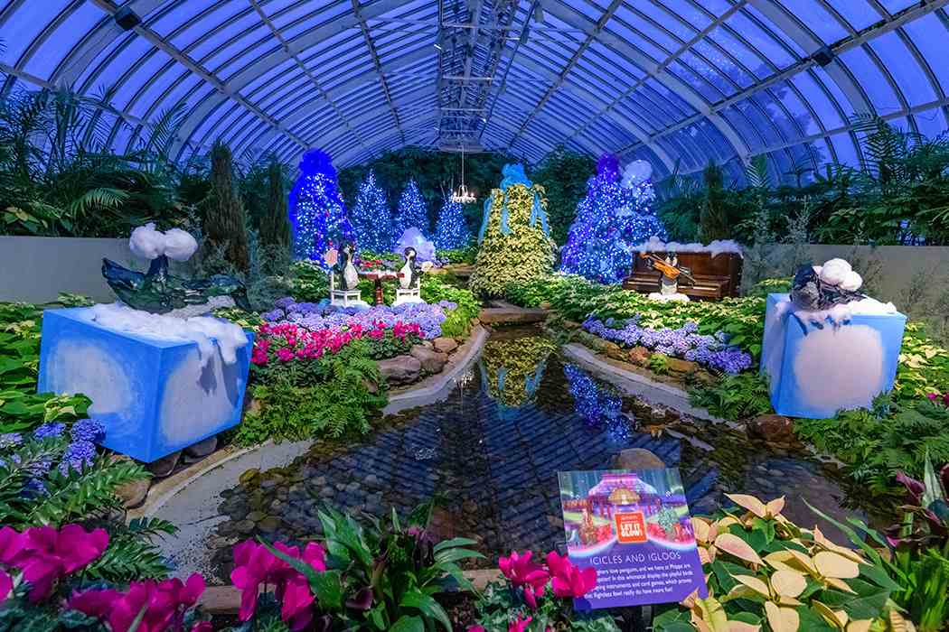 Winter Flower Show and Light Garden 2018: Holiday Magic! Let It Glow Winter Flower Show and Light Garden 2018: Holiday Magic! Let It Glow