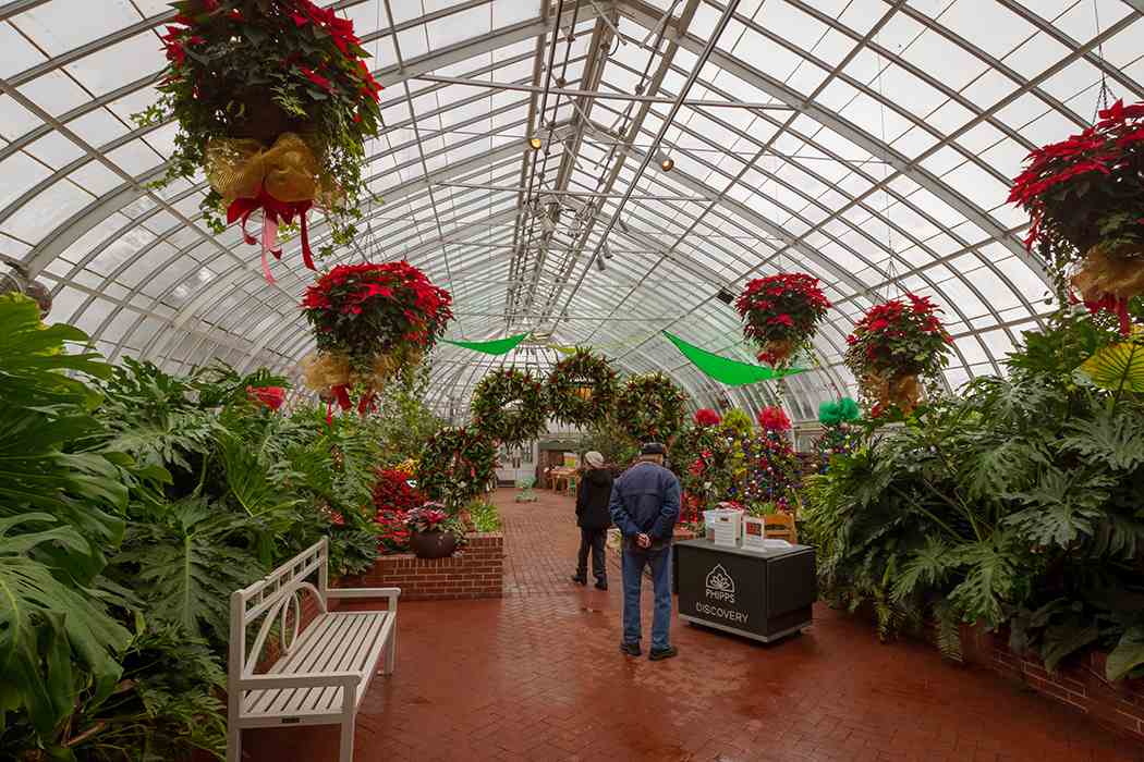 Winter Flower Show and Light Garden 2018: Holiday Magic! Let It Glow