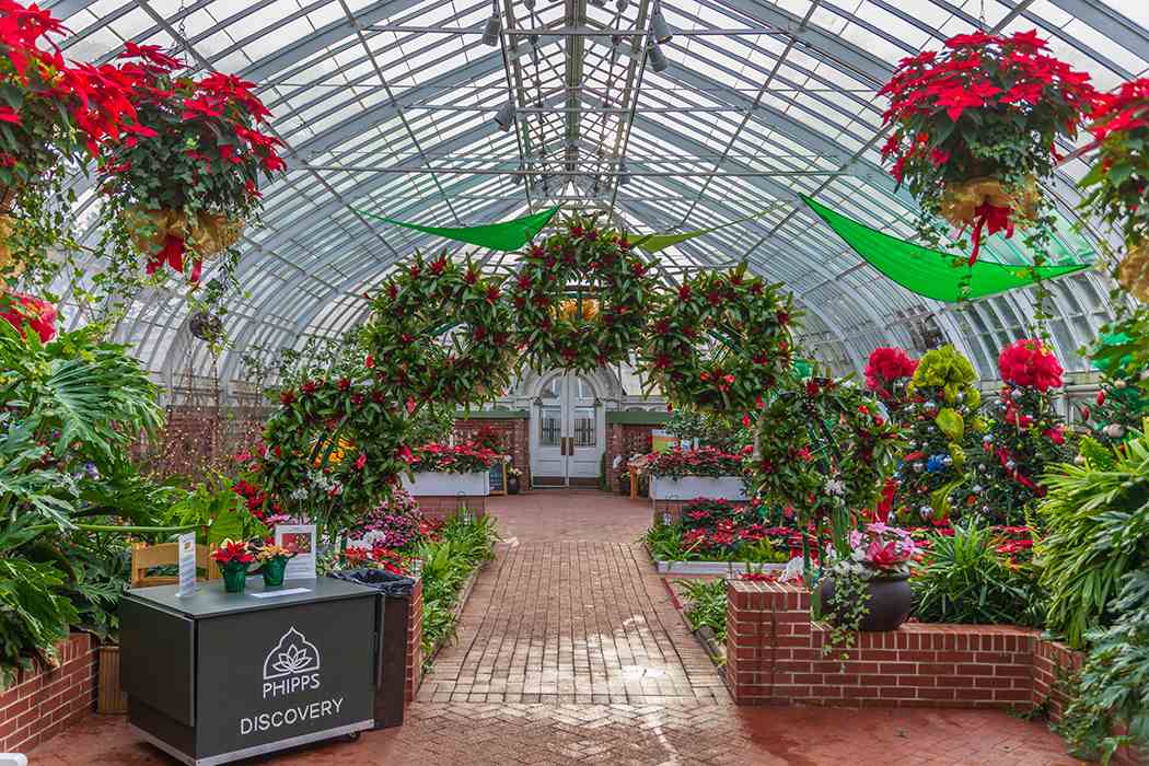 Winter Flower Show and Light Garden 2018: Holiday Magic! Let It Glow