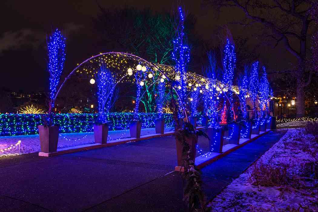 Winter Flower Show and Light Garden 2018: Holiday Magic! Let It Glow