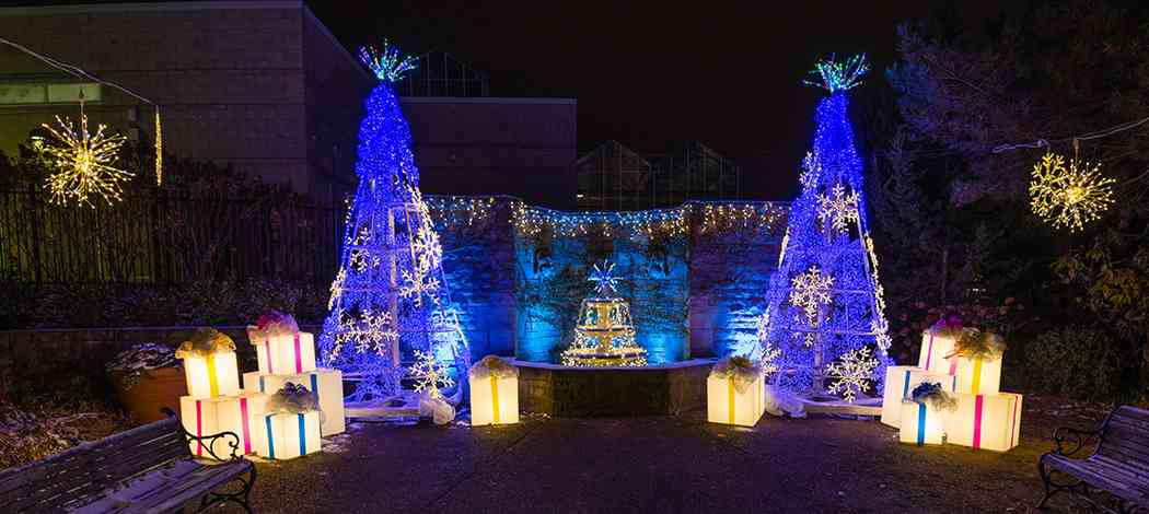 Winter Flower Show and Light Garden 2018: Holiday Magic! Let It Glow