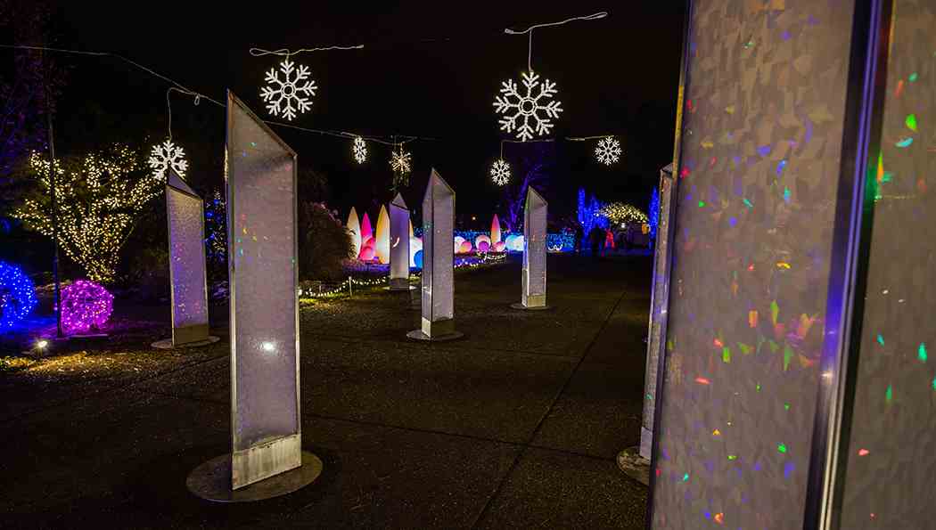 Winter Flower Show and Light Garden 2018: Holiday Magic! Let It Glow