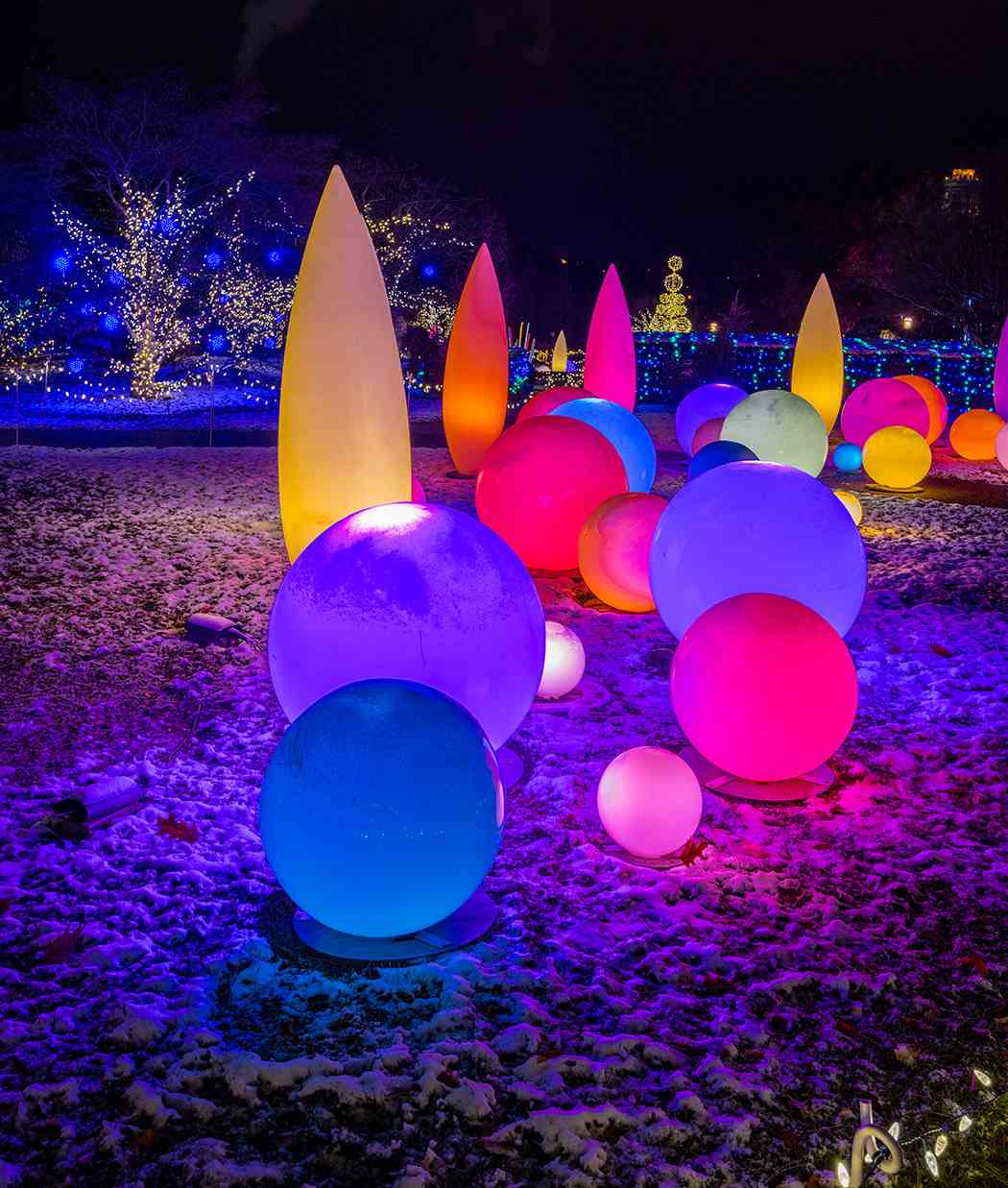 Winter Flower Show and Light Garden 2018: Holiday Magic! Let It Glow Winter Flower Show and Light Garden 2018: Holiday Magic! Let It Glow