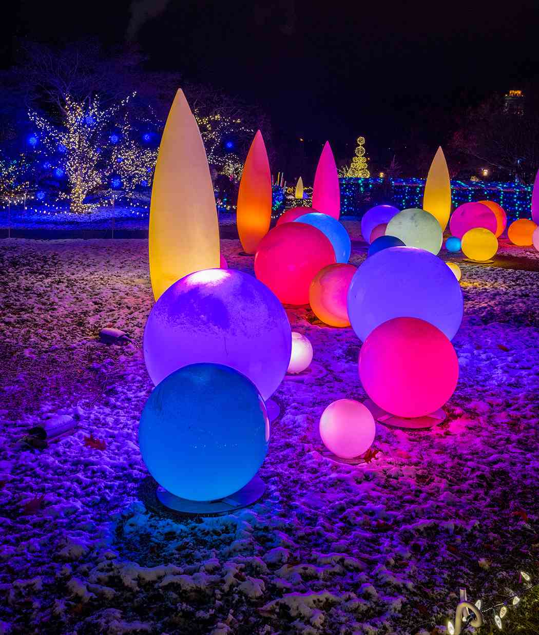 Winter Flower Show and Light Garden 2018: Holiday Magic! Let It Glow