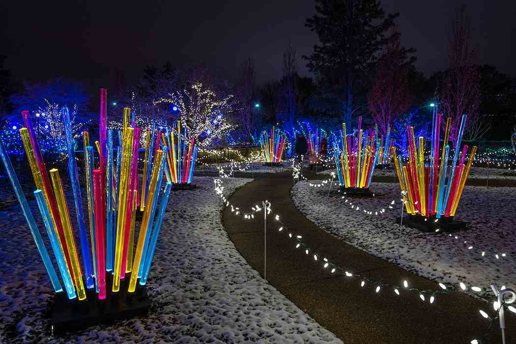 Winter Flower Show and Light Garden 2018: Holiday Magic! Let It Glow