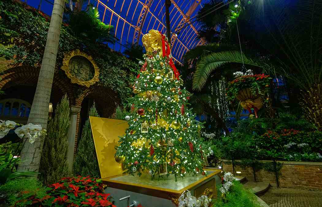 Winter Flower Show and Light Garden 2018: Holiday Magic! Let It Glow