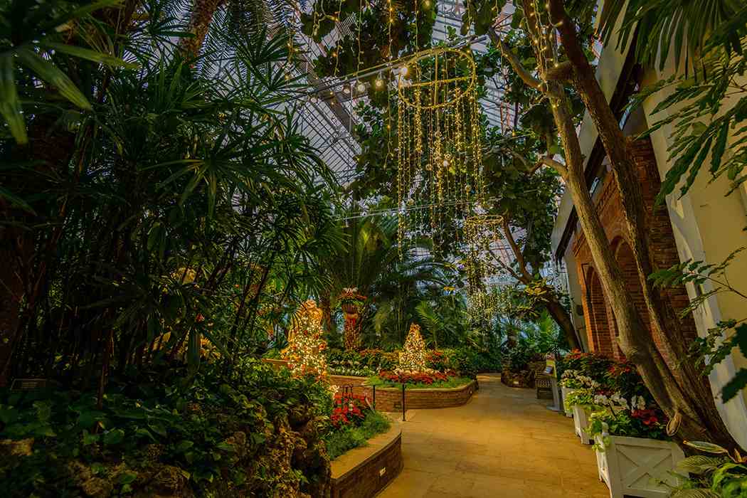 Winter Flower Show and Light Garden 2018: Holiday Magic! Let It Glow