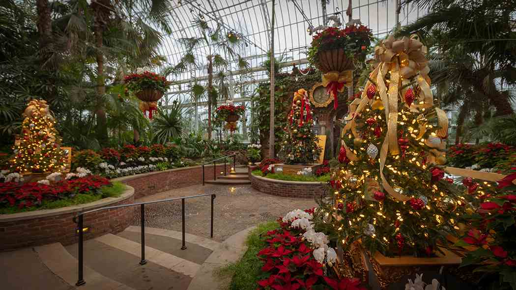 Winter Flower Show and Light Garden 2018: Holiday Magic! Let It Glow