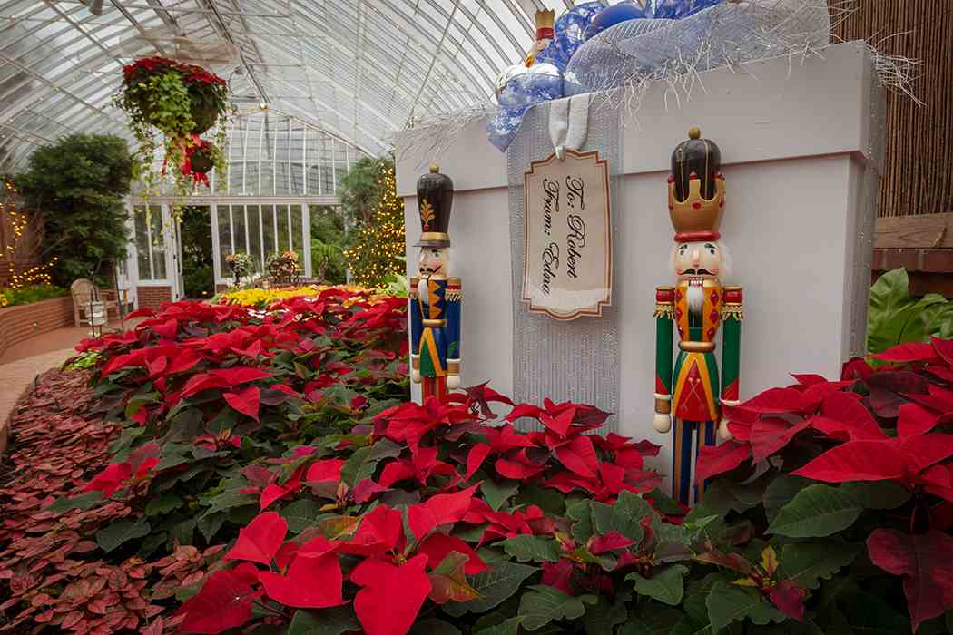 Winter Flower Show and Light Garden 2018: Holiday Magic! Let It Glow