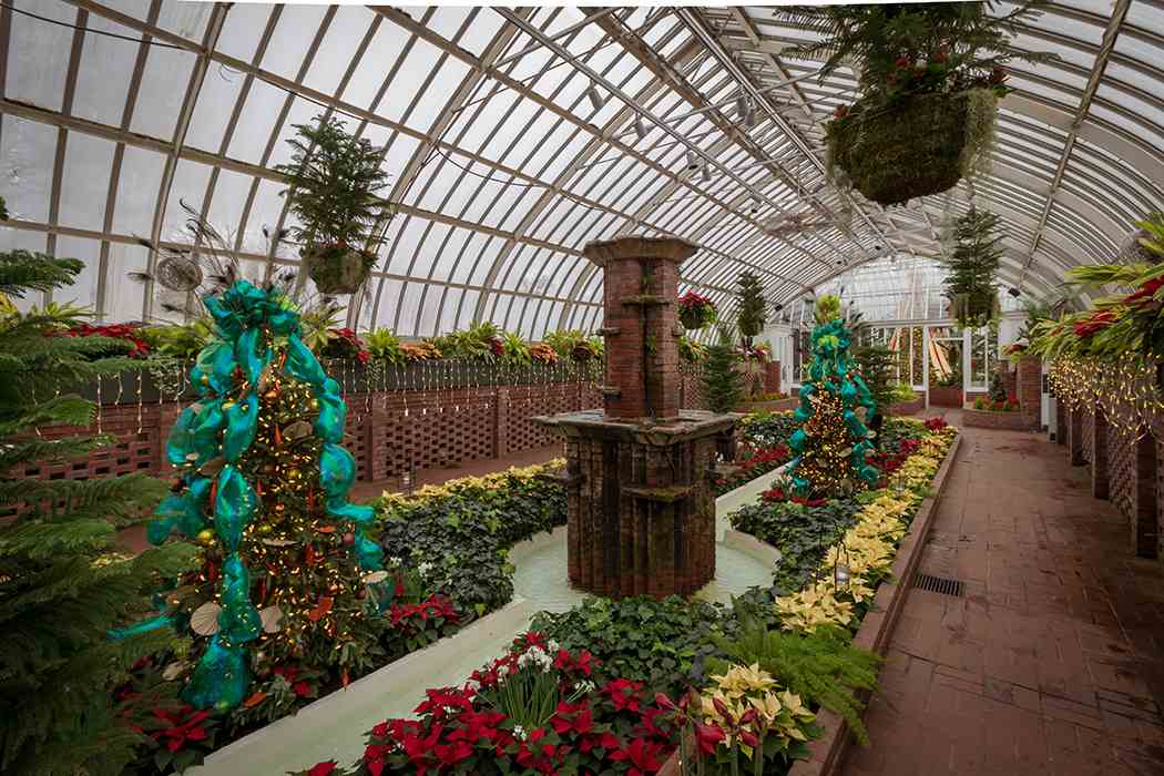 Winter Flower Show and Light Garden 2018: Holiday Magic! Let It Glow