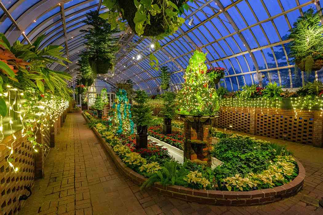 Winter Flower Show and Light Garden 2018: Holiday Magic! Let It Glow