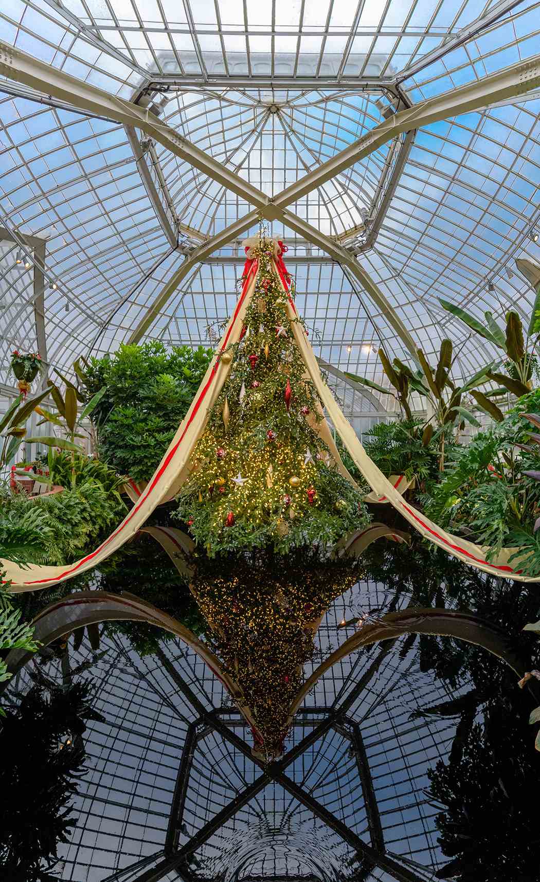 Winter Flower Show and Light Garden 2018: Holiday Magic! Let It Glow Winter Flower Show and Light Garden 2018: Holiday Magic! Let It Glow