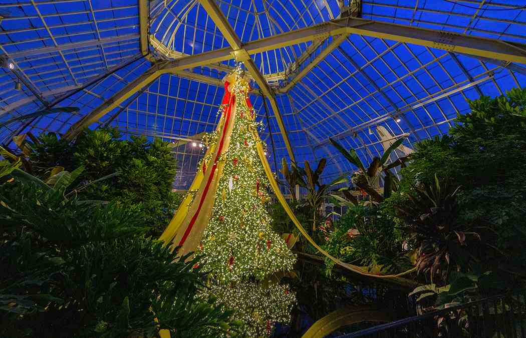 Winter Flower Show and Light Garden 2018: Holiday Magic! Let It Glow