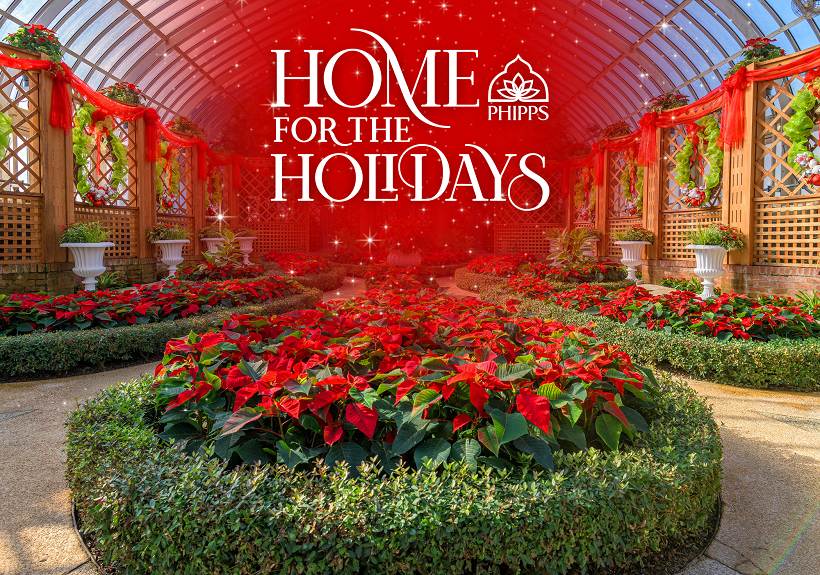 Home Phipps Conservatory And Botanical Gardens Pittsburgh Pa - Pittsburgh Home And Garden Show 2020 Hours Home Phipps Conservatory And Botanical Gardens Pittsburgh Pa - Pittsburgh Home And Garden Show 2020 Hours