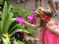 Little Sprouts: Summer Camps Little Sprouts: Summer Camps