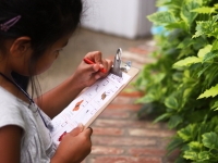 For Homeschoolers For Homeschoolers