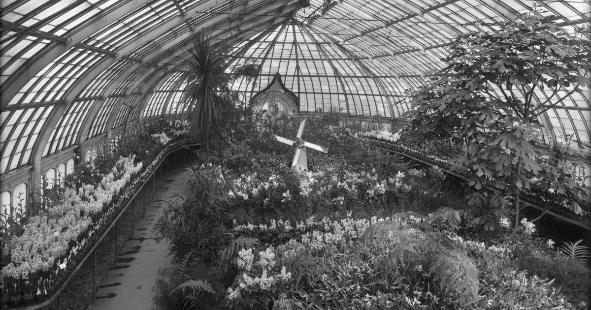 Spring Flower Show 1913 Phipps Conservatory and Botanical Gardens