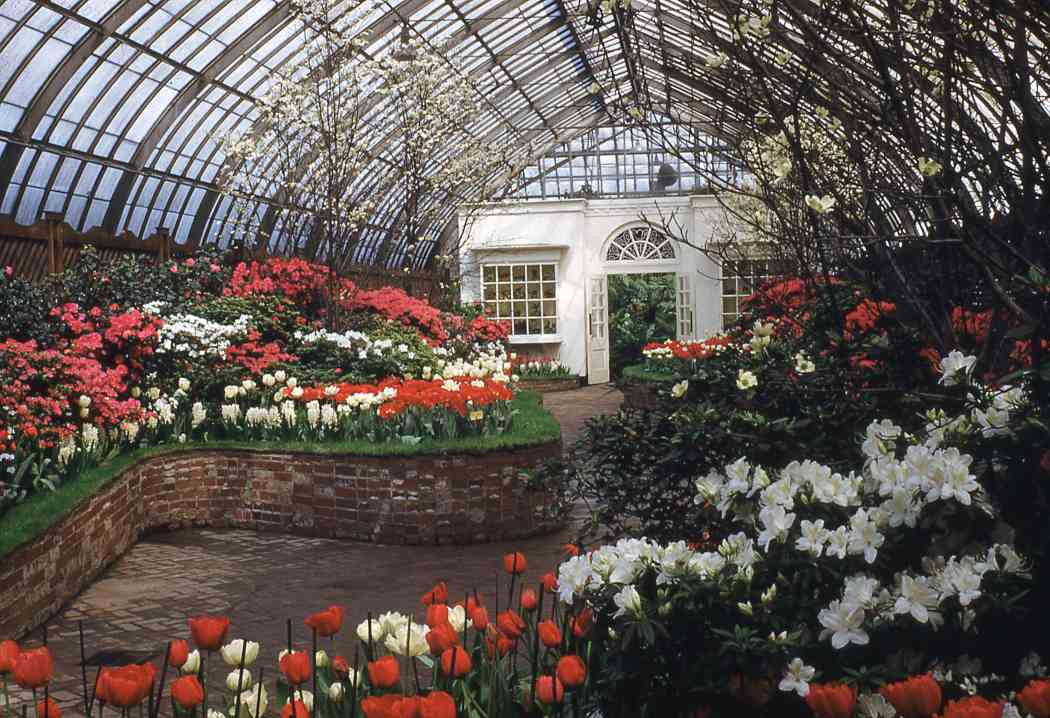 Spring Flower Show 1942