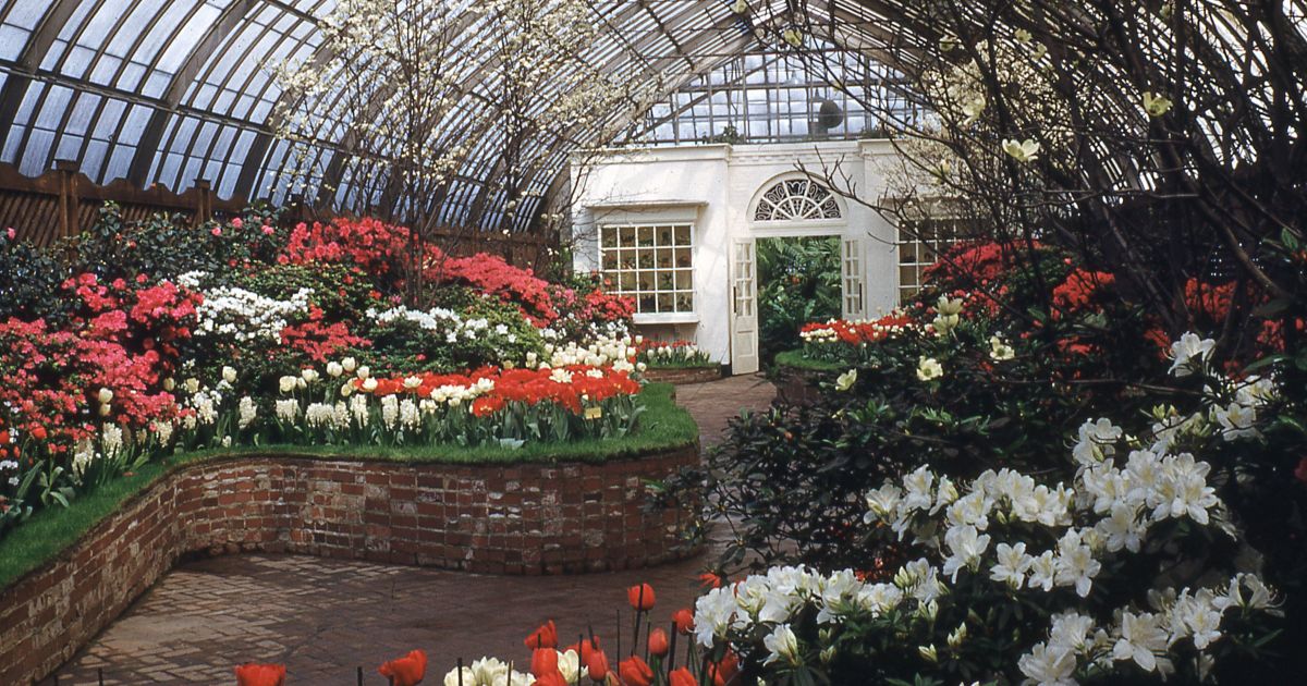 Spring Flower Show 1942 Phipps Conservatory and Botanical Gardens