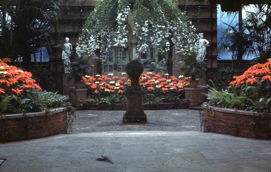 Winter Flower Show 1947