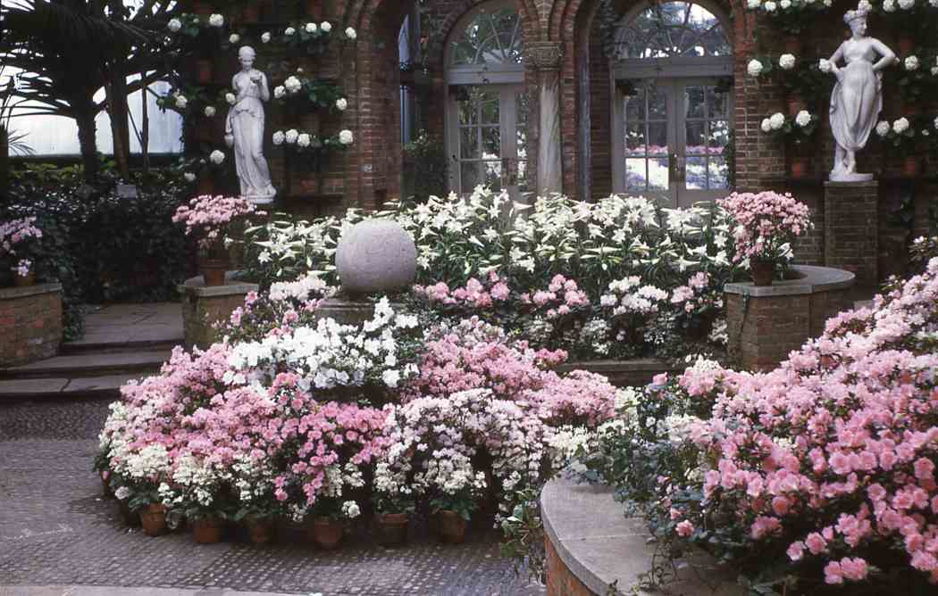 Spring Flower Show 1947