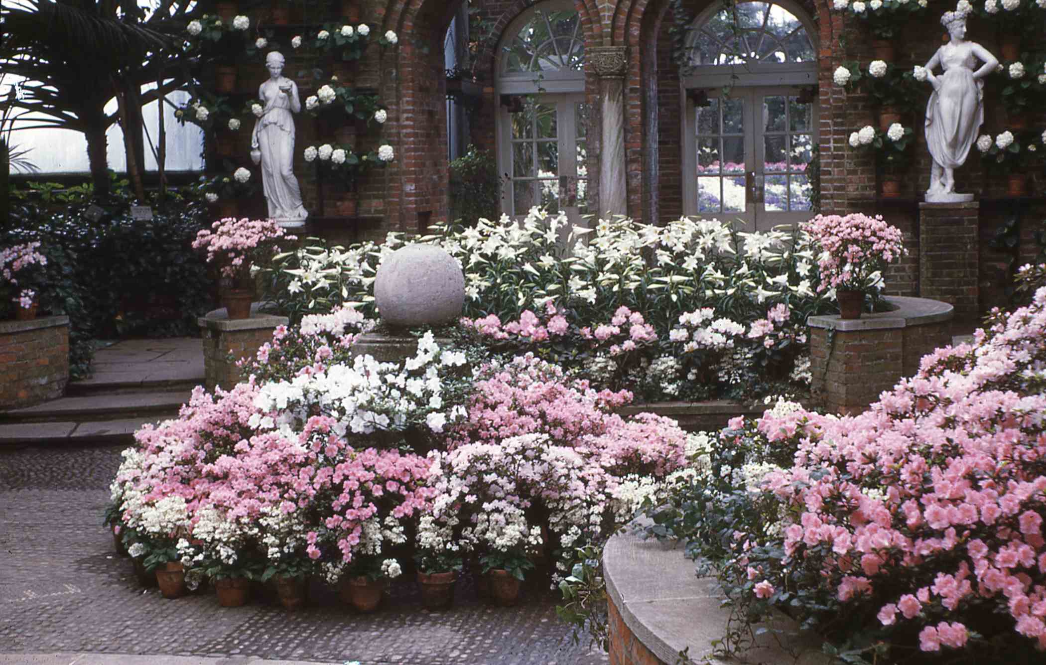 Spring Flower Show 1947 Phipps Conservatory and Botanical Gardens