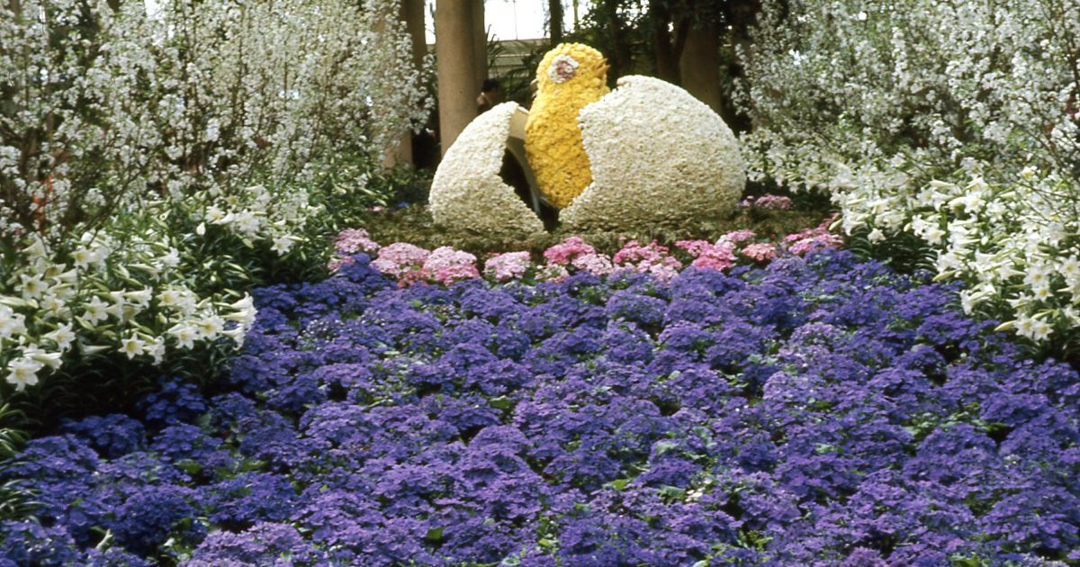 1970_Spring_South_Conservatory
