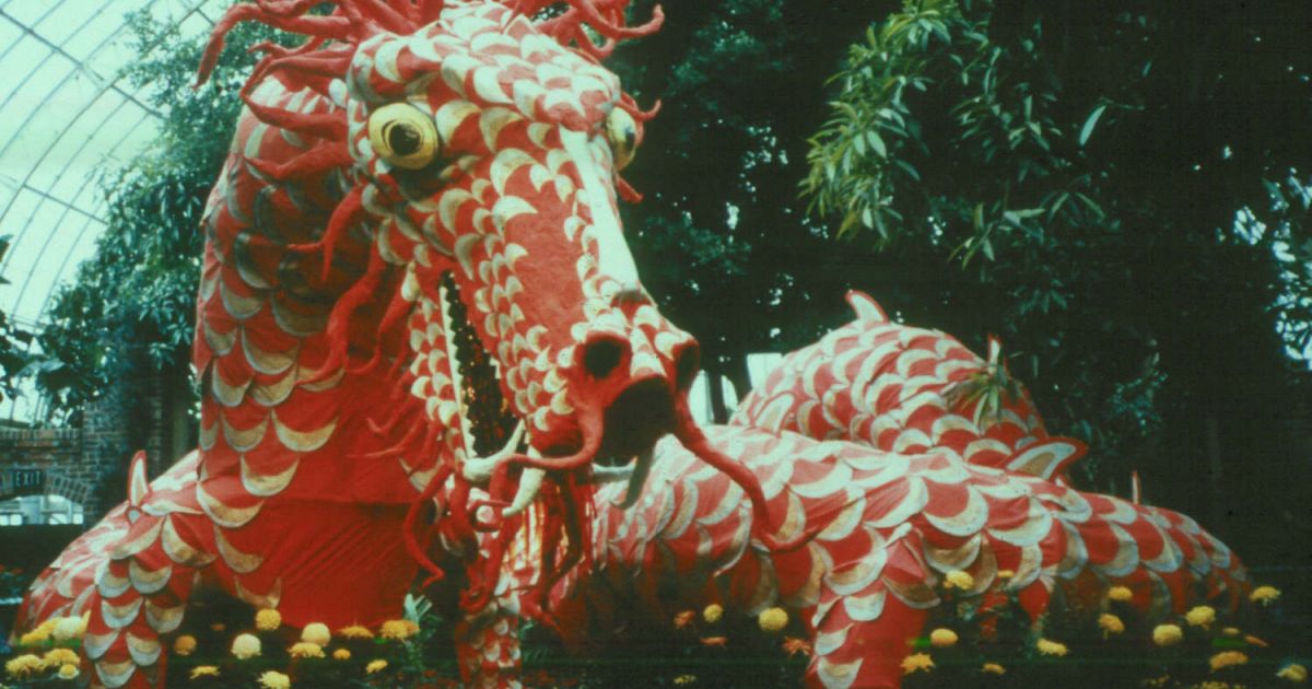 1971_1320_620_s_c1_1200_630_80