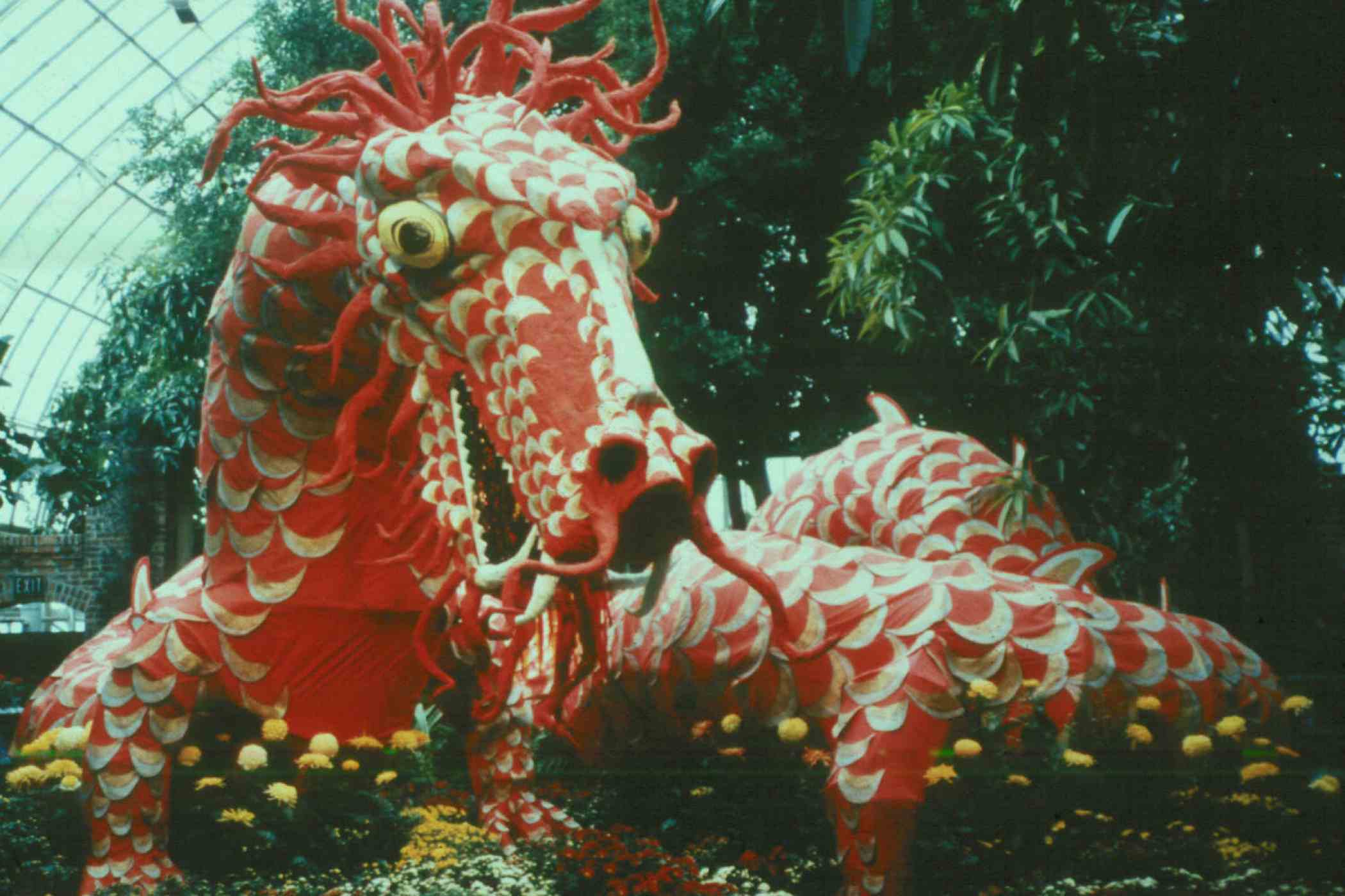 Fall Flower Show 1986: China — Origin of the Chrysanthemum