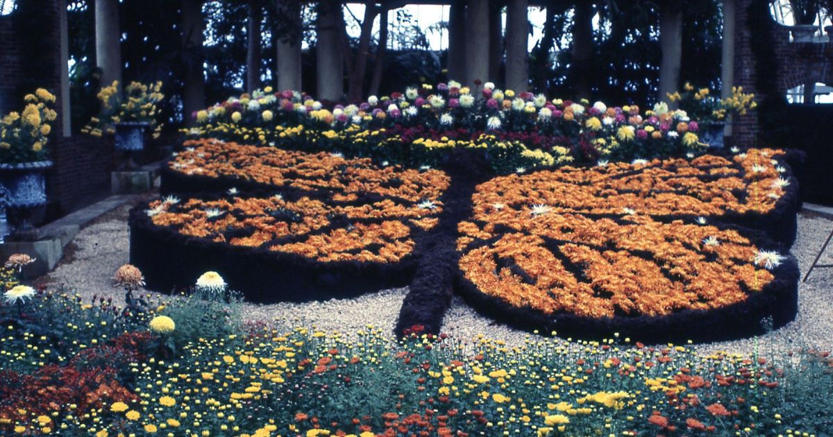 Fall Flower Show 1977 Phipps Conservatory and Botanical Gardens