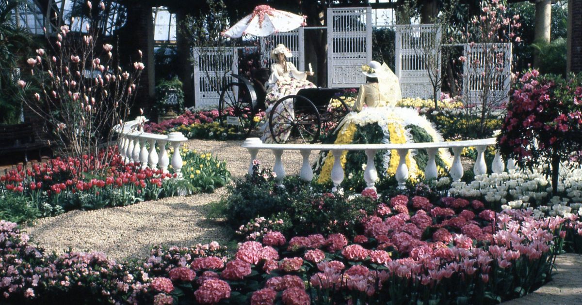 Spring Flower Show 1980: Spring in the South | Phipps Conservatory
