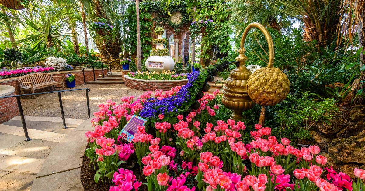 Spring Flower Show 2018 Scents of Wonder Phipps Conservatory and