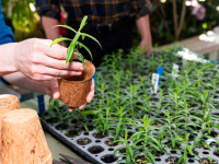 Youth Climate Stipend