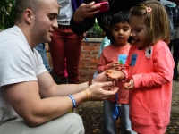 Little Sprouts: Summer Camps Little Sprouts: Summer Camps