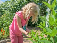 Little Sprouts: Summer Camps Little Sprouts: Summer Camps