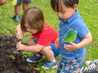 Little Sprouts: Summer Camps Little Sprouts: Summer Camps