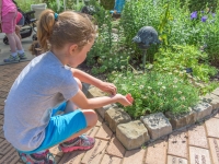 Seedling Scientists: Summer Camps Seedling Scientists: Summer Camps