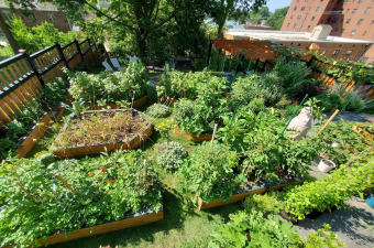 Sustainable Garden Gallery